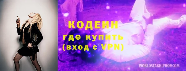 дживик Заводоуковск