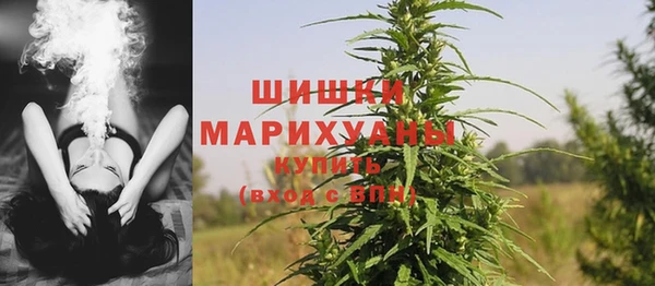 дживик Заводоуковск
