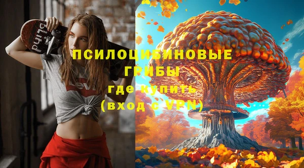 МДМА Заволжье